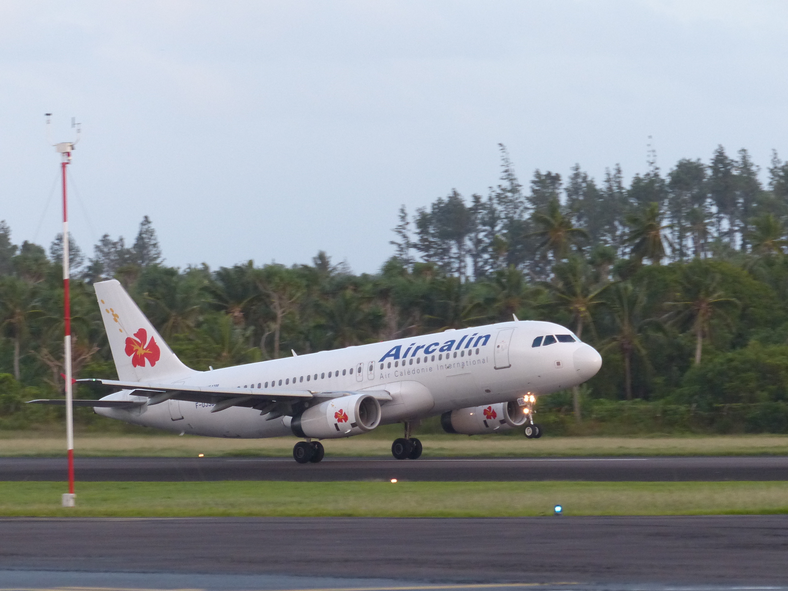 Voyageurs vers la Métropole : végétaux et produits végétaux autorisés et interdits